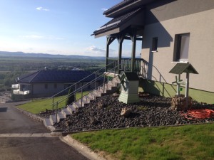 photo 3 (3)